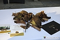 VBS_5481 - 10.ma Fiera Nazionale del Tartufo e Fiera dei Santi